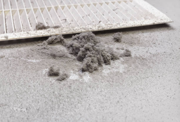 Best Air Duct Cleaning Cost  in Frankfort, MI
